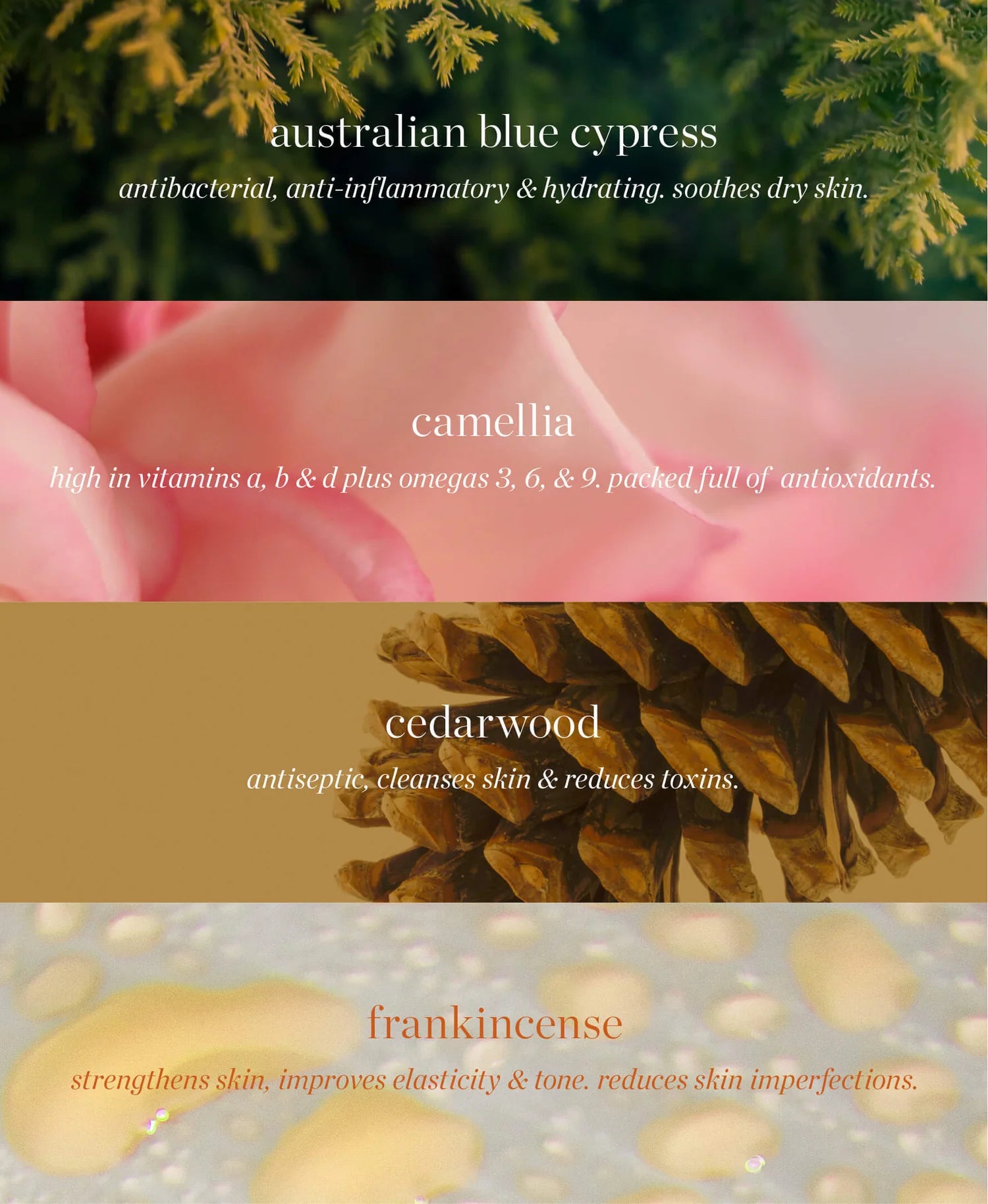 Australian Blue Cypress Face Nectar Serum from ERE PEREZ available online on Qiyorro