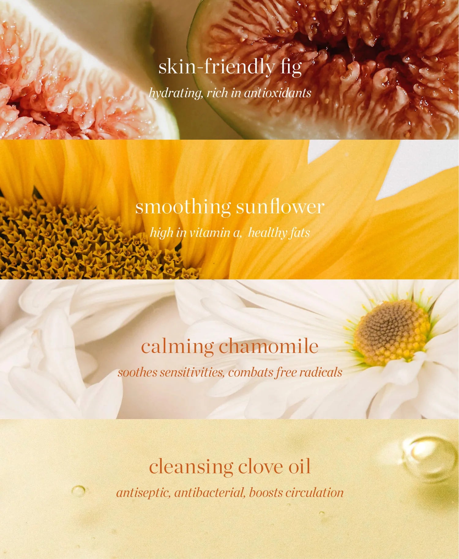 Fig All Beauty Jelly Cleansers from ERE PEREZ available online on Qiyorro
