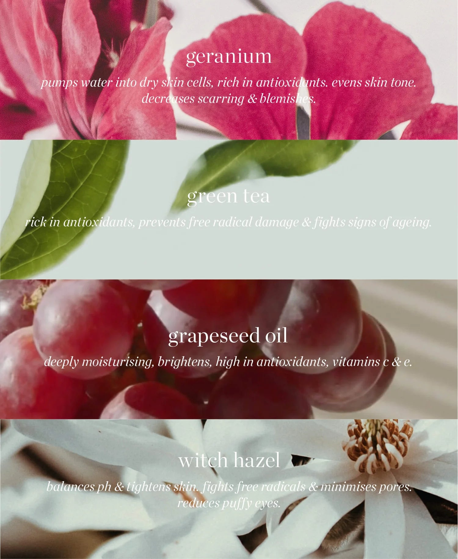 Herbal Face Tonic Toner from ERE PEREZ available online on Qiyorro