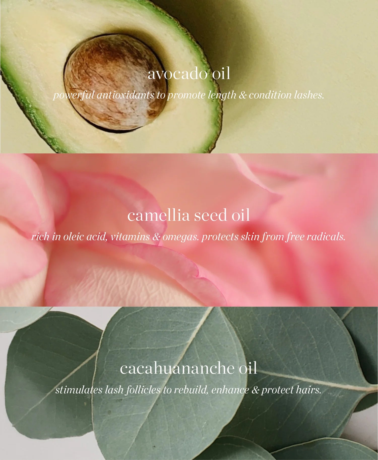 ماسكارا أفوكادو مقاومة للماء - أسود ماسكارا أفوكادو مقاومة للماء - أسود