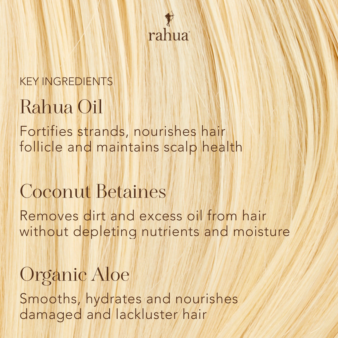 Classic Conditioner  Conditioner from RAHUA  available online on Qiyorro